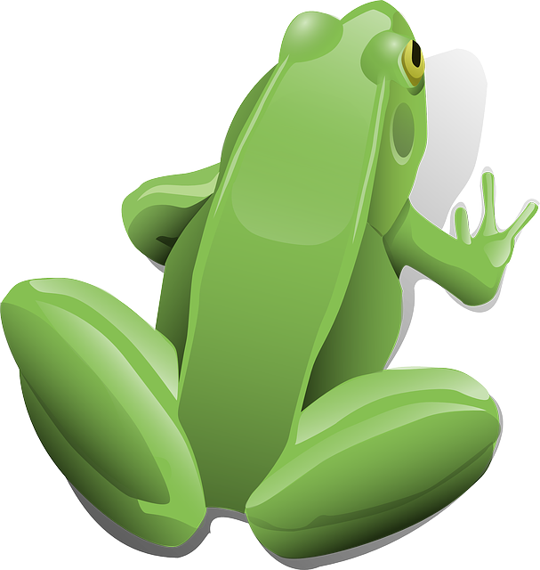 frog-30524_640